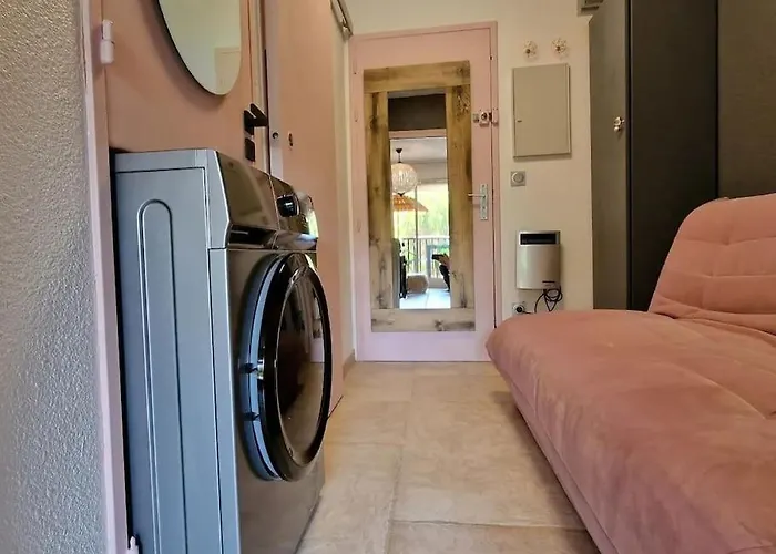 Beau Studio, Moderne, Au Calme Avec Piscine Et Parking Prive Dans Une Residence Arboree